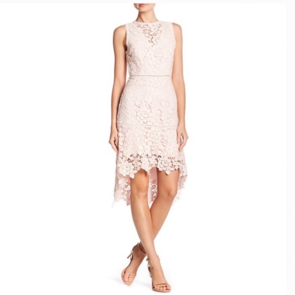 Joie Pink Lace Dress with Crochet Detail